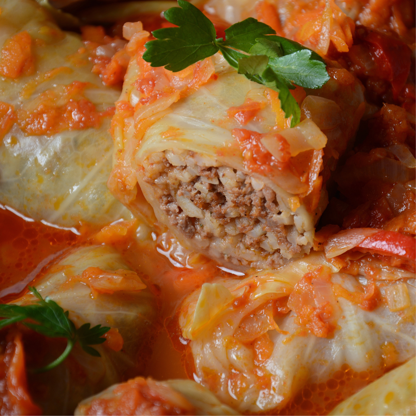 Cabbage Rolls